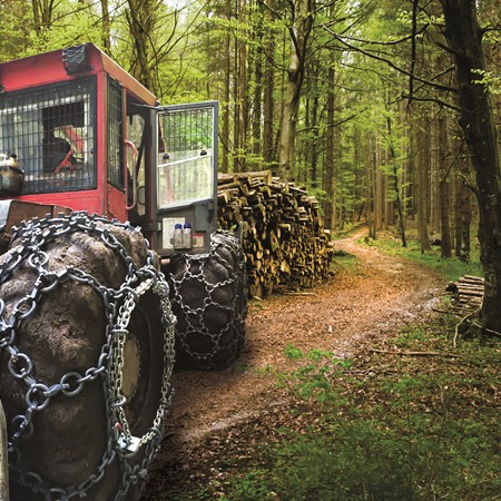 FORESTRY CHAINS