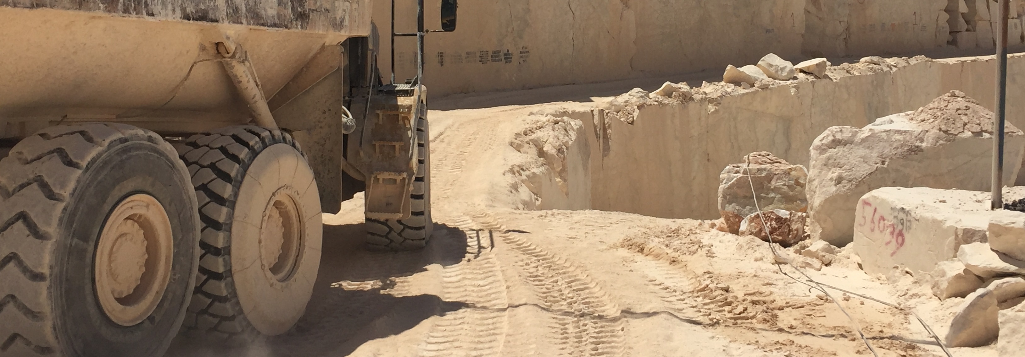 TIRE SHIELD (lask)